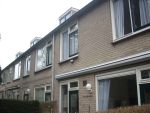 Lees meer...