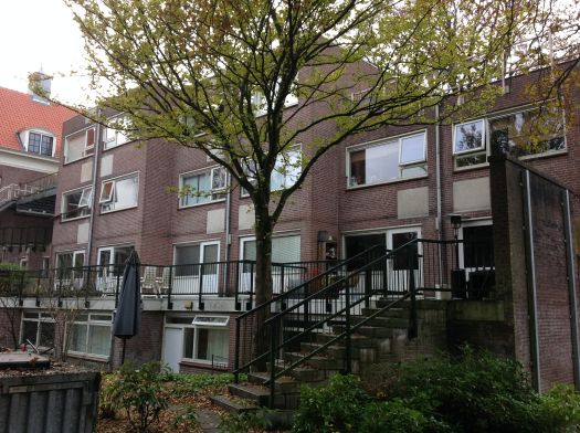 b_525_525_16777215_0_0_images_Borneolaan.jpg
