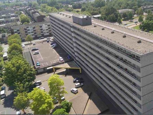 b_525_525_16777215_0_0_images_Zeverijnstraat.jpg